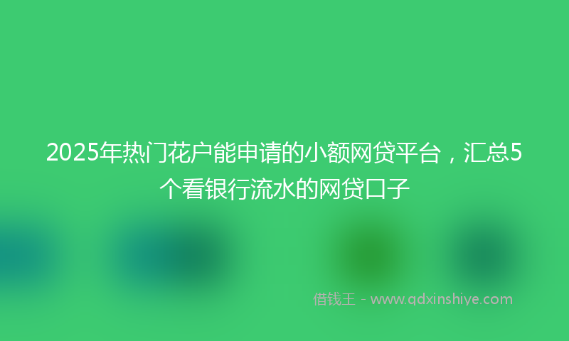 2025年热门花户能申请的小额网贷平台，汇总5个看银行流水的网贷口子