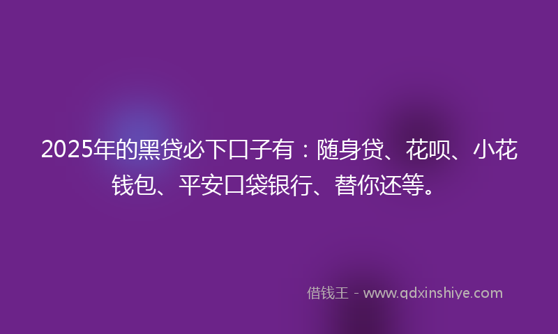 2025年的黑贷必下口子有:随身贷、花呗、小花钱包、平安口袋银行、替你还等。