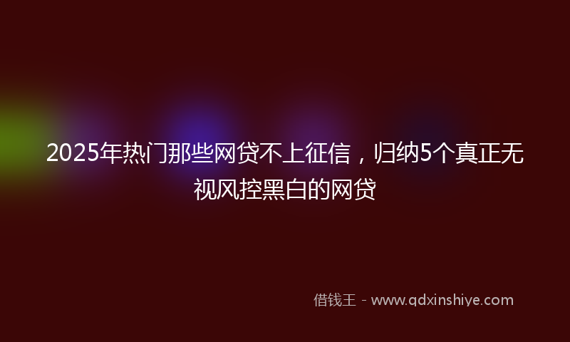 2025年热门那些网贷不上征信，归纳5个真正无视风控黑白的网贷