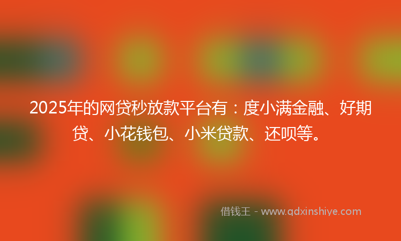 2025年的网贷秒放款平台有：度小满金融、好期贷、小花钱包、小米贷款、还呗等。