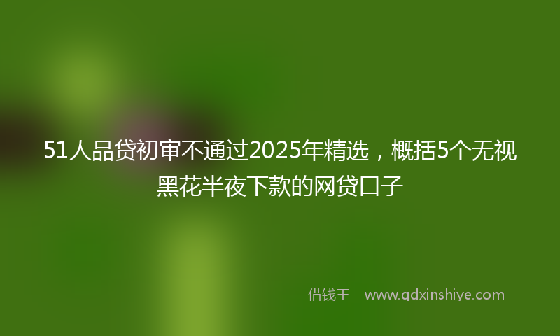 51人品贷初审不通过2025年精选，概括5个无视黑花半夜下款的网贷口子