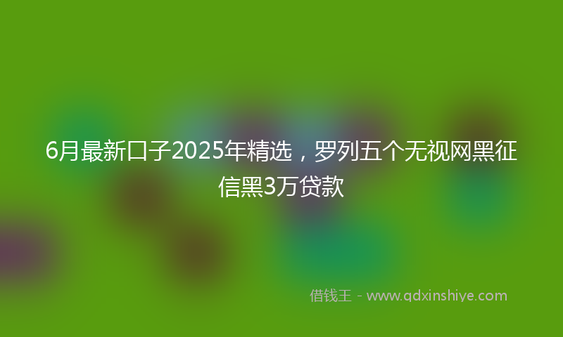 6月最新口子2025年精选，罗列五个无视网黑征信黑3万贷款