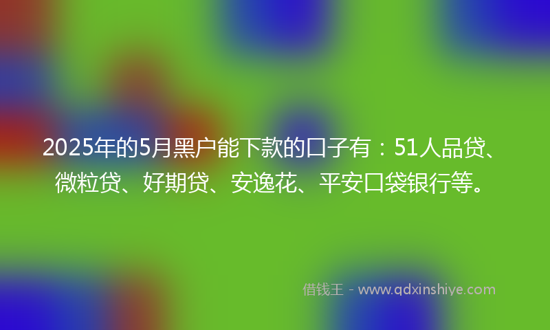 2025年的5月黑户能下款的口子有：51人品贷、微粒贷、好期贷、安逸花、平安口袋银行等。