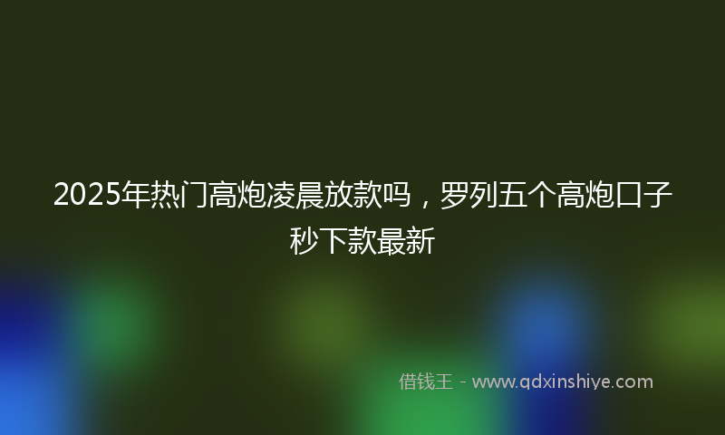 2025年热门高炮凌晨放款吗，罗列五个高炮口子秒下款最新