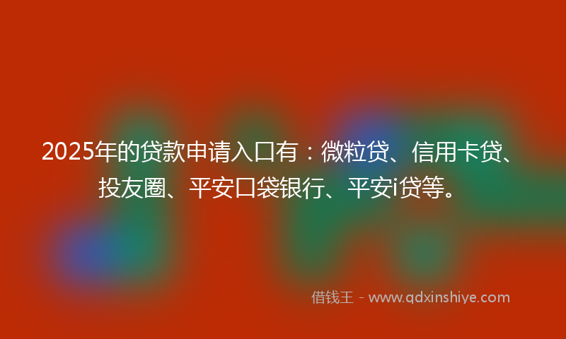 2025年的贷款申请入口有：微粒贷、信用卡贷、投友圈、平安口袋银行、平安i贷等。