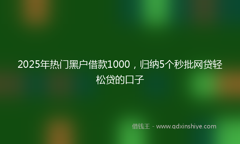 2025年热门黑户借款1000，归纳5个秒批网贷轻松贷的口子