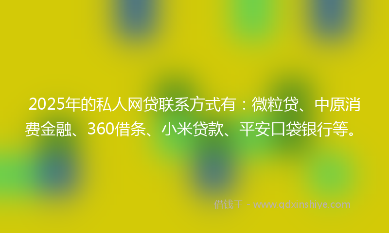 2025年的私人网贷联系方式有：微粒贷、中原消费金融、360借条、小米贷款、平安口袋银行等。