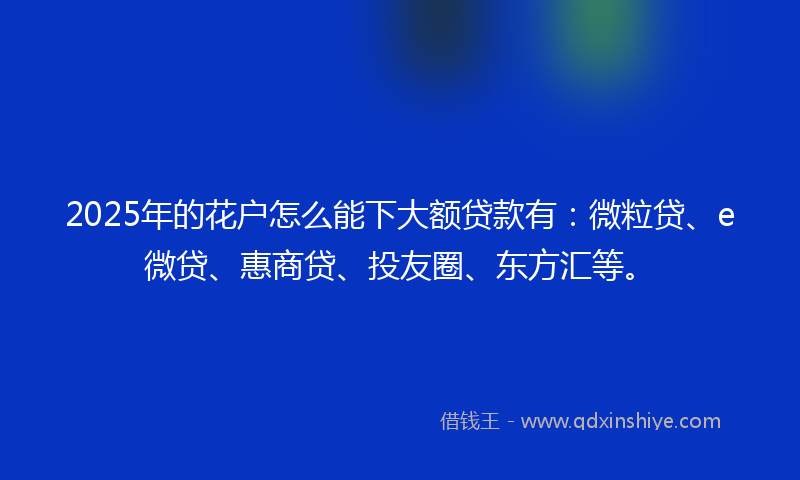 2025年的花户怎么能下大额贷款有：微粒贷、e微贷、惠商贷、投友圈、东方汇等。