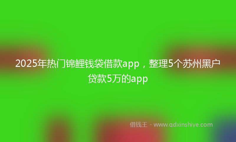 2025年热门锦鲤钱袋借款app，整理5个苏州黑户贷款5万的app