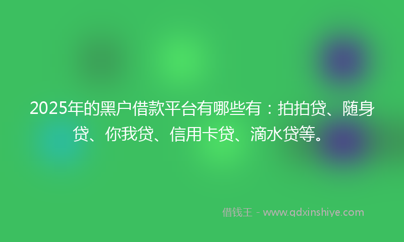 2025年的黑户借款平台有哪些有：拍拍贷、随身贷、你我贷、信用卡贷、滴水贷等。