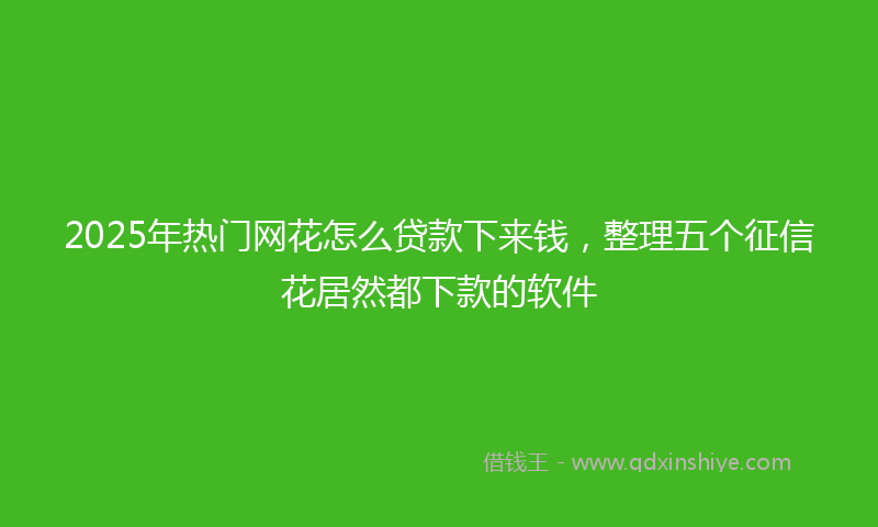 2025年热门网花怎么贷款下来钱，整理五个征信花居然都下款的软件