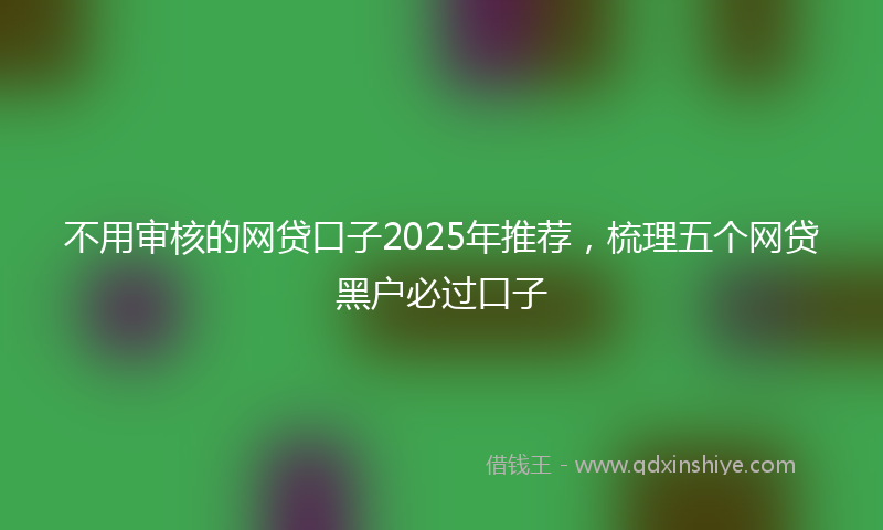 不用审核的网贷口子2025年推荐，梳理五个网贷黑户必过口子