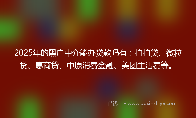 2025年的黑户中介能办贷款吗有：拍拍贷、微粒贷、惠商贷、中原消费金融、美团生活费等。