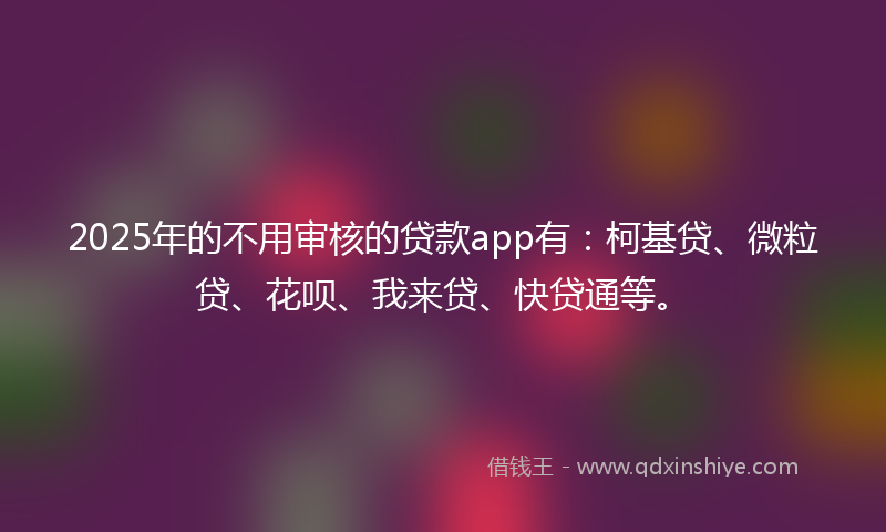 2025年的不用审核的贷款app有：柯基贷、微粒贷、花呗、我来贷、快贷通等。