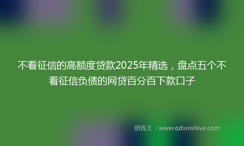 不看征信的高额度贷款2025年精选，盘点五个不看征信负债的网贷百分百下款口子