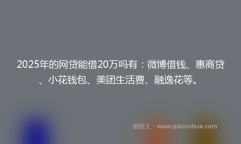 2025年的网贷能借20万吗有：微博借钱、惠商贷、小花钱包、美团生活费、融逸花等。