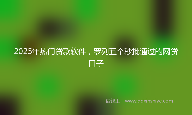 2025年热门贷款软件，罗列五个秒批通过的网贷口子