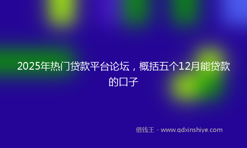 2025年热门贷款平台论坛，概括五个12月能贷款的口子