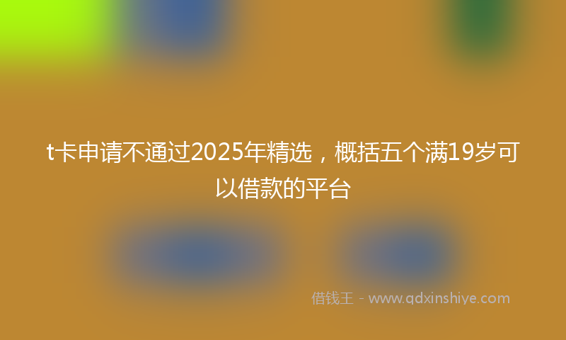 t卡申请不通过2025年精选，概括五个满19岁可以借款的平台