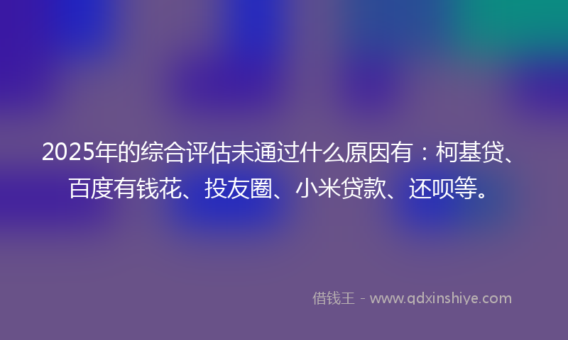 2025年的综合评估未通过什么原因有：柯基贷、百度有钱花、投友圈、小米贷款、还呗等。