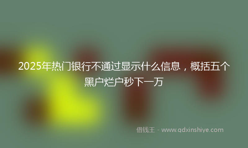 2025年热门银行不通过显示什么信息，概括五个黑户烂户秒下一万