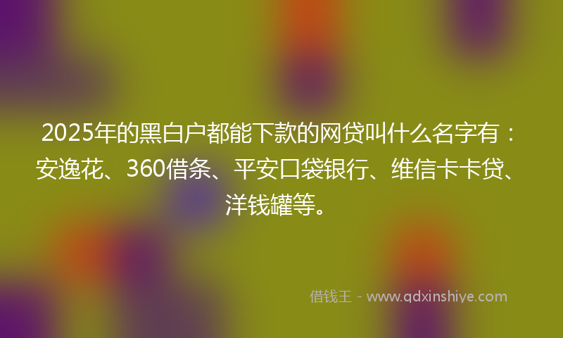 2025年的黑白户都能下款的网贷叫什么名字有：安逸花、360借条、平安口袋银行、维信卡卡贷、洋钱罐等。