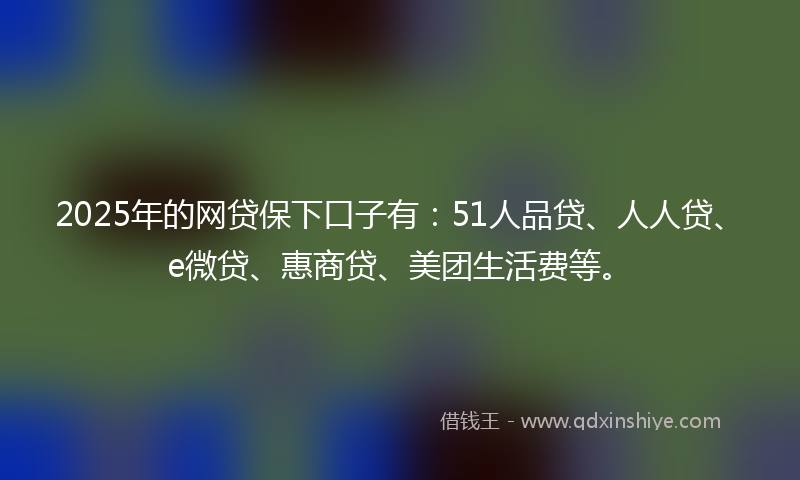 2025年的网贷保下口子有：51人品贷、人人贷、e微贷、惠商贷、美团生活费等。