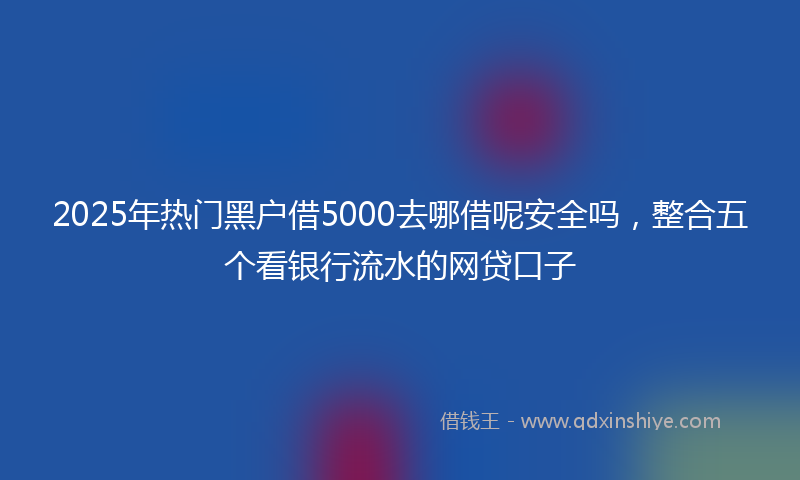 2025年热门黑户借5000去哪借呢安全吗，整合五个看银行流水的网贷口子