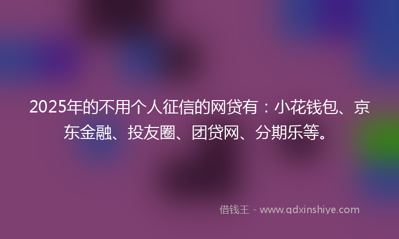 2025年的不用个人征信的网贷有：小花钱包、京东金融、投友圈、团贷网、分期乐等。