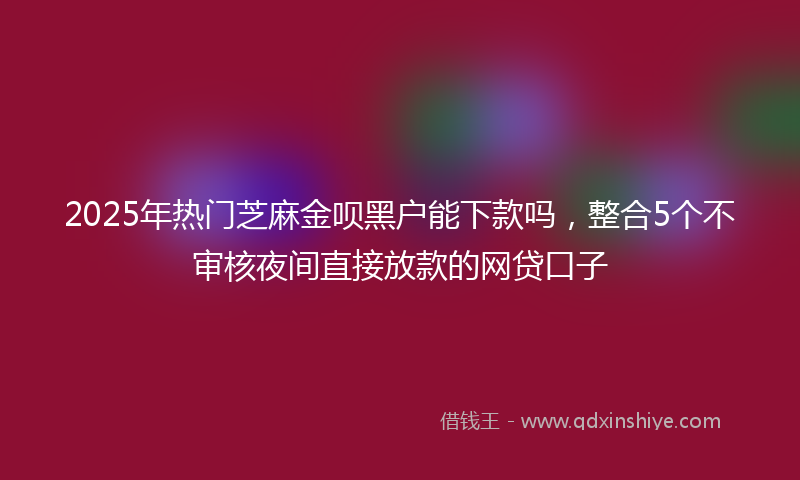 2025年热门芝麻金呗黑户能下款吗，整合5个不审核夜间直接放款的网贷口子