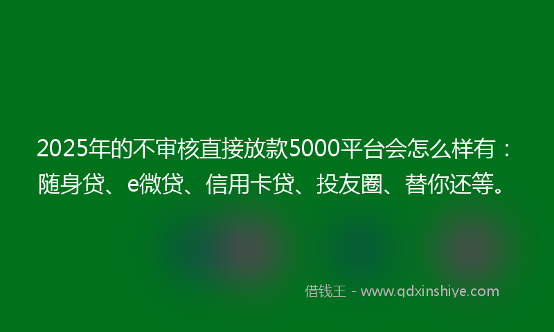 2025年的不审核直接放款5000平台会怎么样有：随身贷、e微贷、信用卡贷、投友圈、替你还等。