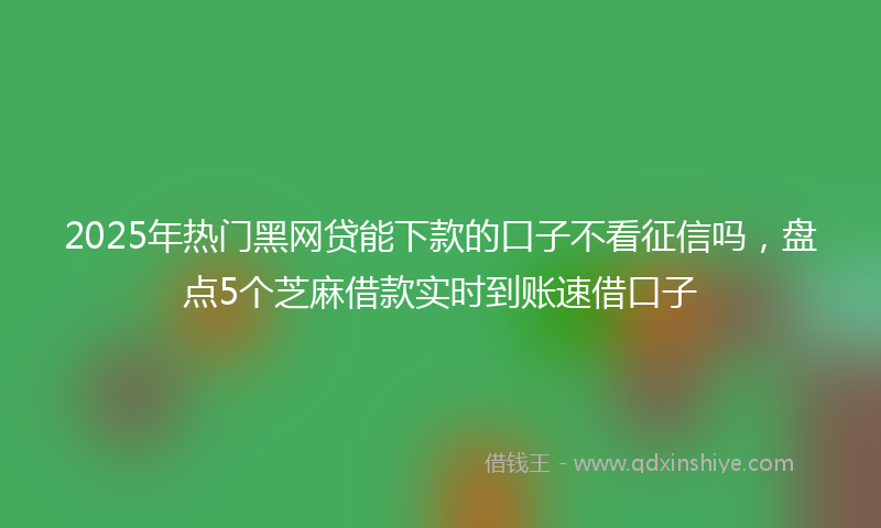 2025年热门黑网贷能下款的口子不看征信吗，盘点5个芝麻借款实时到账速借口子