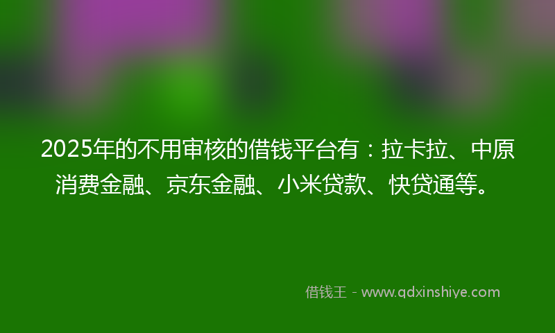 2025年的不用审核的借钱平台有：拉卡拉、中原消费金融、京东金融、小米贷款、快贷通等。