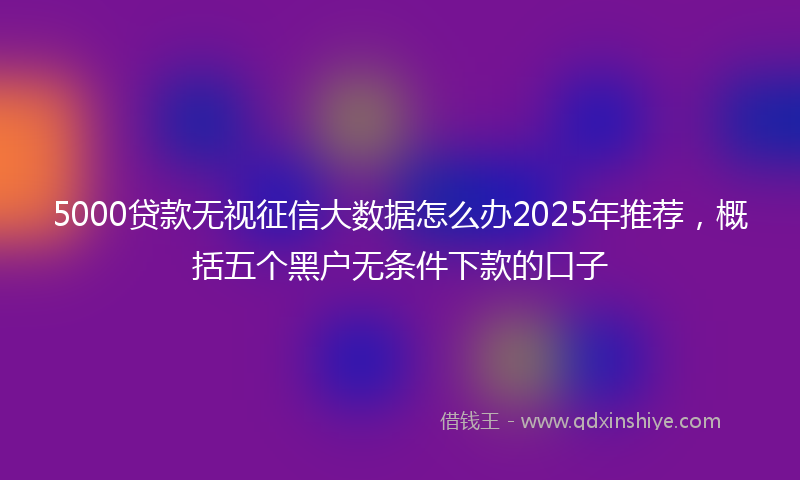 5000贷款无视征信大数据怎么办2025年推荐，概括五个黑户无条件下款的口子