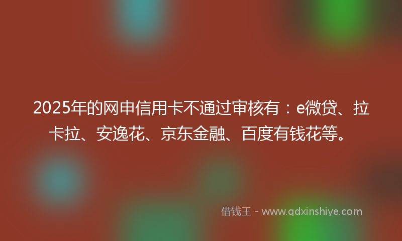 2025年的网申信用卡不通过审核有：e微贷、拉卡拉、安逸花、京东金融、百度有钱花等。