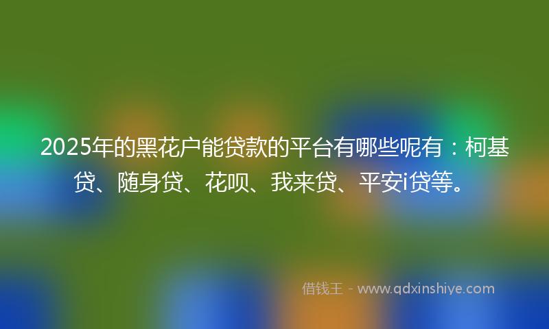 2025年的黑花户能贷款的平台有哪些呢有：柯基贷、随身贷、花呗、我来贷、平安i贷等。