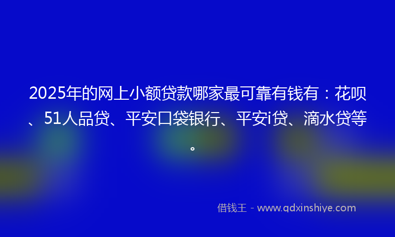 2025年的网上小额贷款哪家最可靠有钱有：花呗、51人品贷、平安口袋银行、平安i贷、滴水贷等。