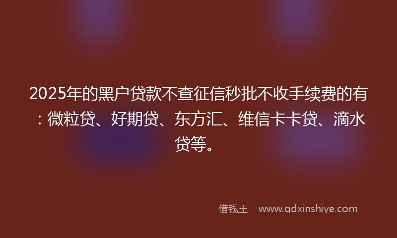 2025年的黑户贷款不查征信秒批不收手续费的有:微粒贷、好期贷、东方汇、维信卡卡贷、滴水贷等。