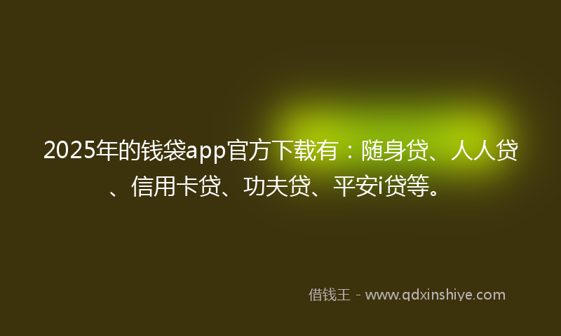 2025年的钱袋app官方下载有：随身贷、人人贷、信用卡贷、功夫贷、平安i贷等。