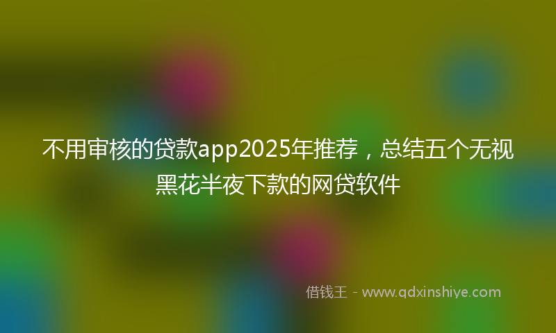 不用审核的贷款app2025年推荐，总结五个无视黑花半夜下款的网贷软件