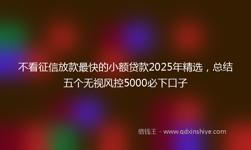 不看征信放款最快的小额贷款2025年精选，总结五个无视风控5000必下口子