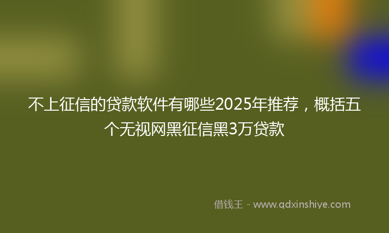 不上征信的贷款软件有哪些2025年推荐，概括五个无视网黑征信黑3万贷款