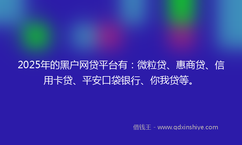 2025年的黑户网贷平台有：微粒贷、惠商贷、信用卡贷、平安口袋银行、你我贷等。