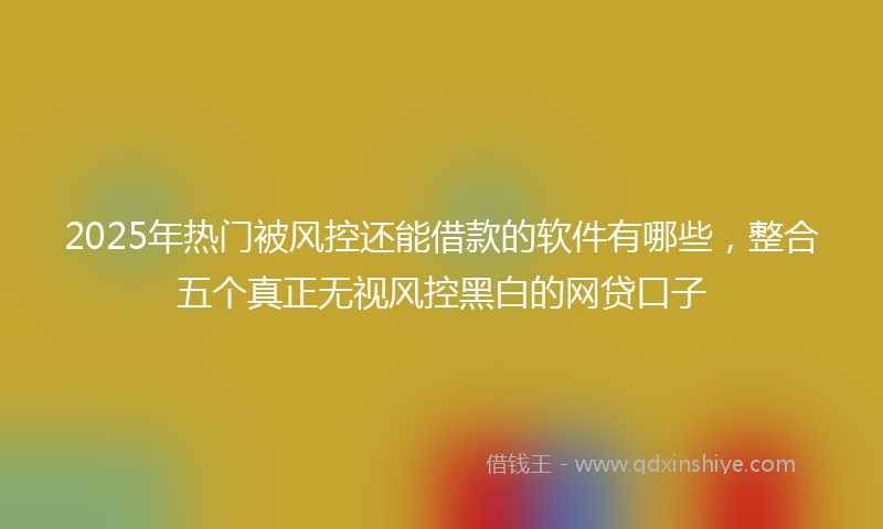 2025年热门被风控还能借款的软件有哪些，整合五个真正无视风控黑白的网贷口子