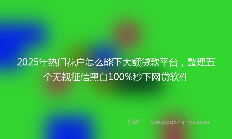 2025年热门花户怎么能下大额贷款平台，整理五个无视征信黑白100%秒下网贷软件