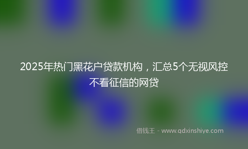 2025年热门黑花户贷款机构，汇总5个无视风控不看征信的网贷