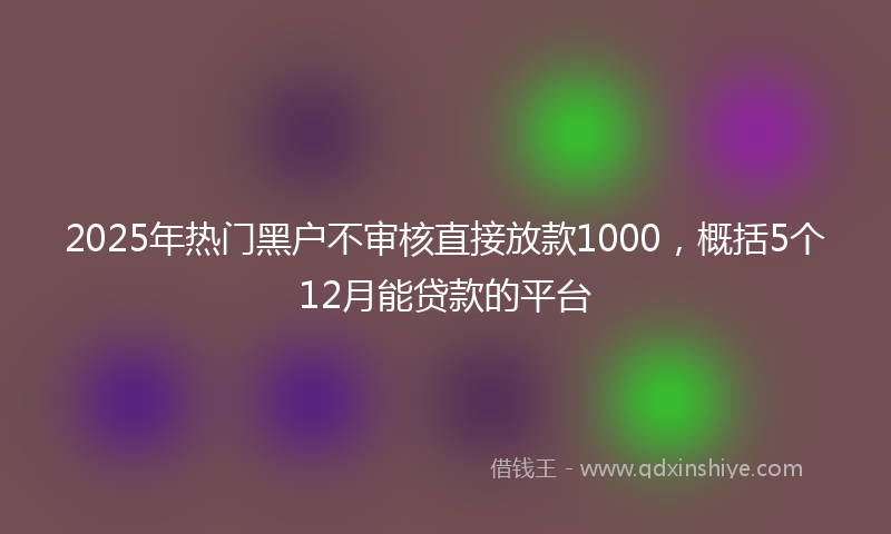 2025年热门黑户不审核直接放款1000，概括5个12月能贷款的平台