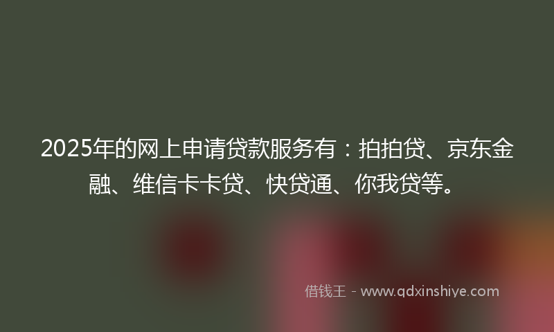 2025年的网上申请贷款服务有：拍拍贷、京东金融、维信卡卡贷、快贷通、你我贷等。