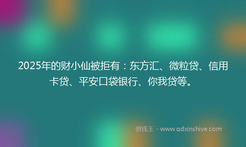 2025年的财小仙被拒有:东方汇、微粒贷、信用卡贷、平安口袋银行、你我贷等。
