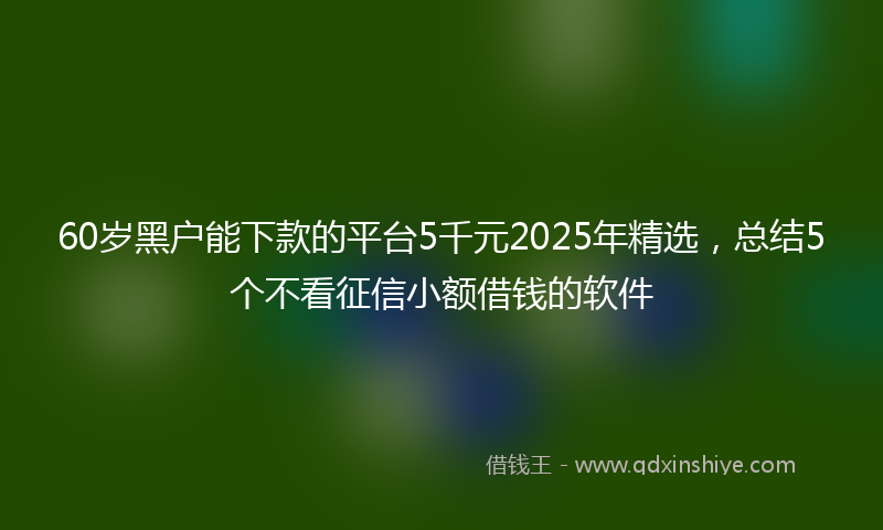 60岁黑户能下款的平台5千元2025年精选，总结5个不看征信小额借钱的软件